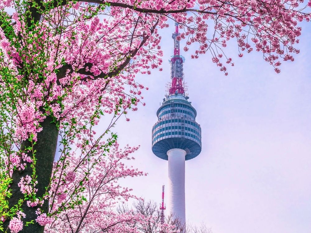 Viaggio in Corea del Sud